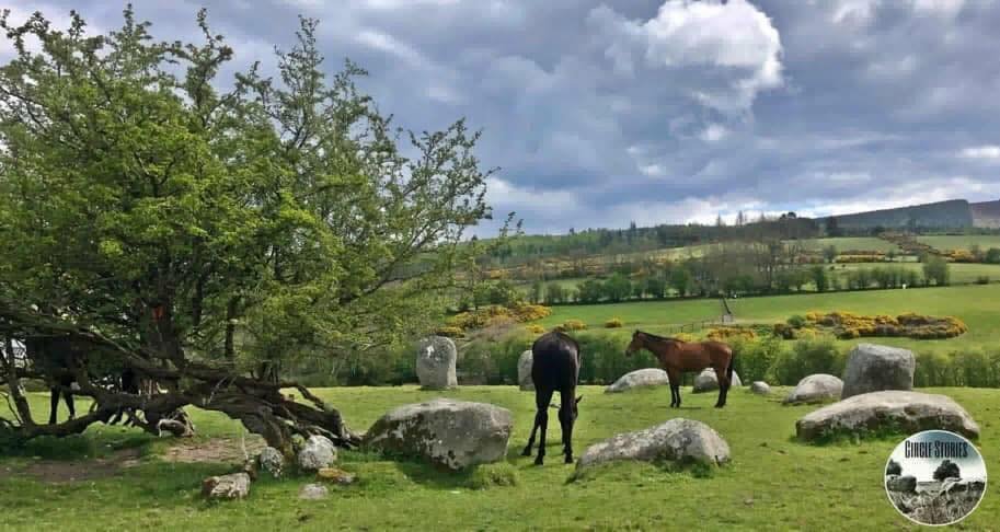 SubRosa )✿( Magick @subrosamagick.bsky.social tweet media