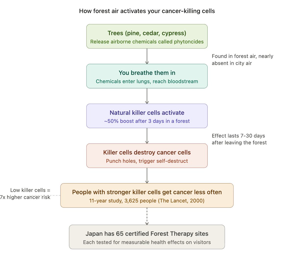 Anish Moonka tweet media