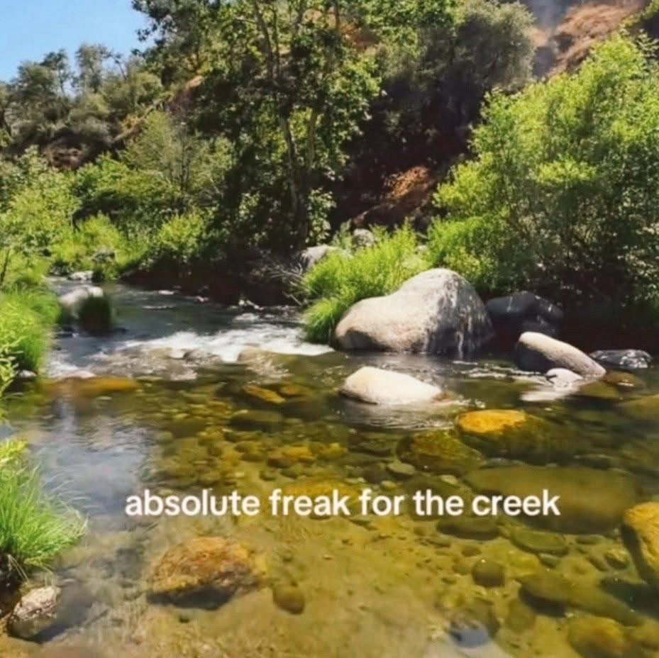 DC~MaddoX ✴️⛓️🥷✴️ tweet media