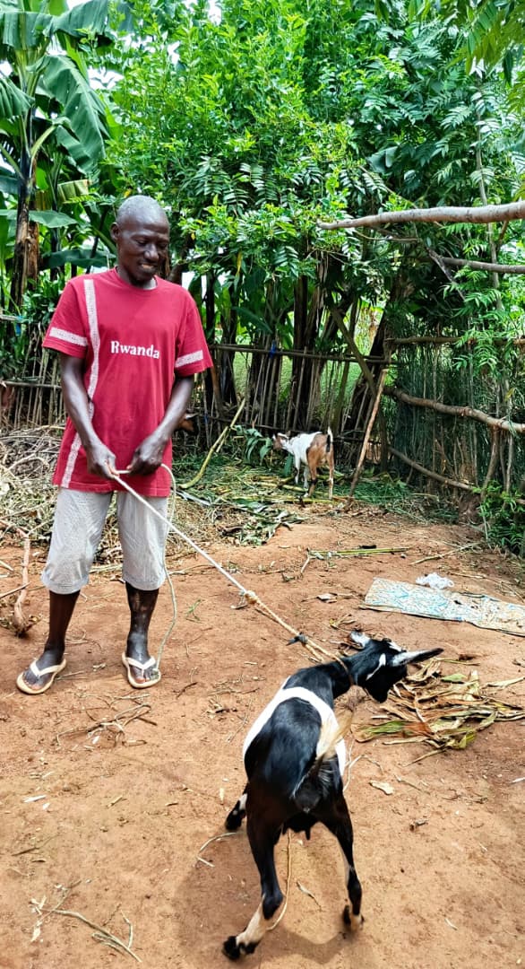 RwandaCejp's tweet image. In addition, the Twiyubakire Program provided us with goats and pigs. Living without support is challenging, poverty limits one’s ability to move forward or plan for the future. With this assistance, we feel more secure, empowered, and ready to embrace a new life.
#PathToPeace