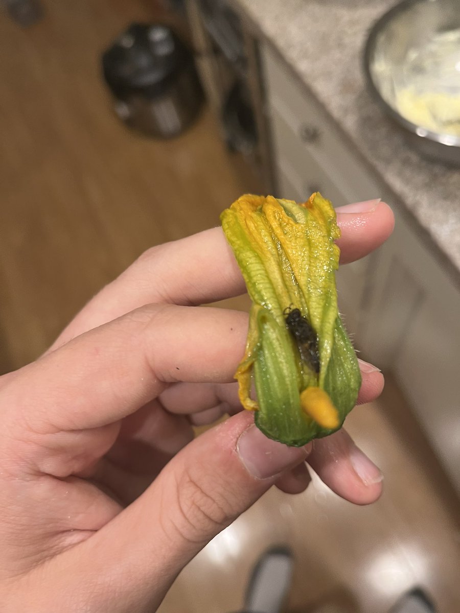 Mage🩸🍧 tweet media