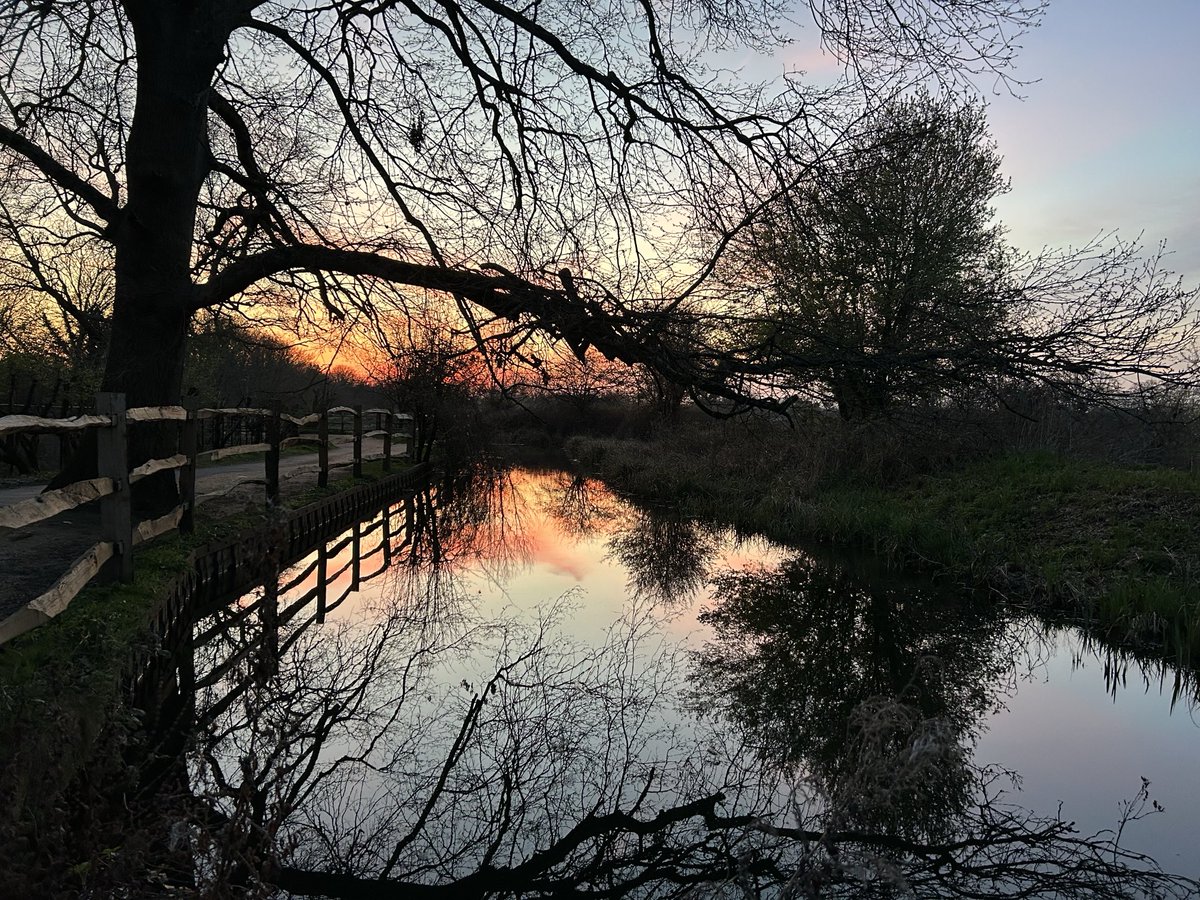 Ralph Morton tweet media