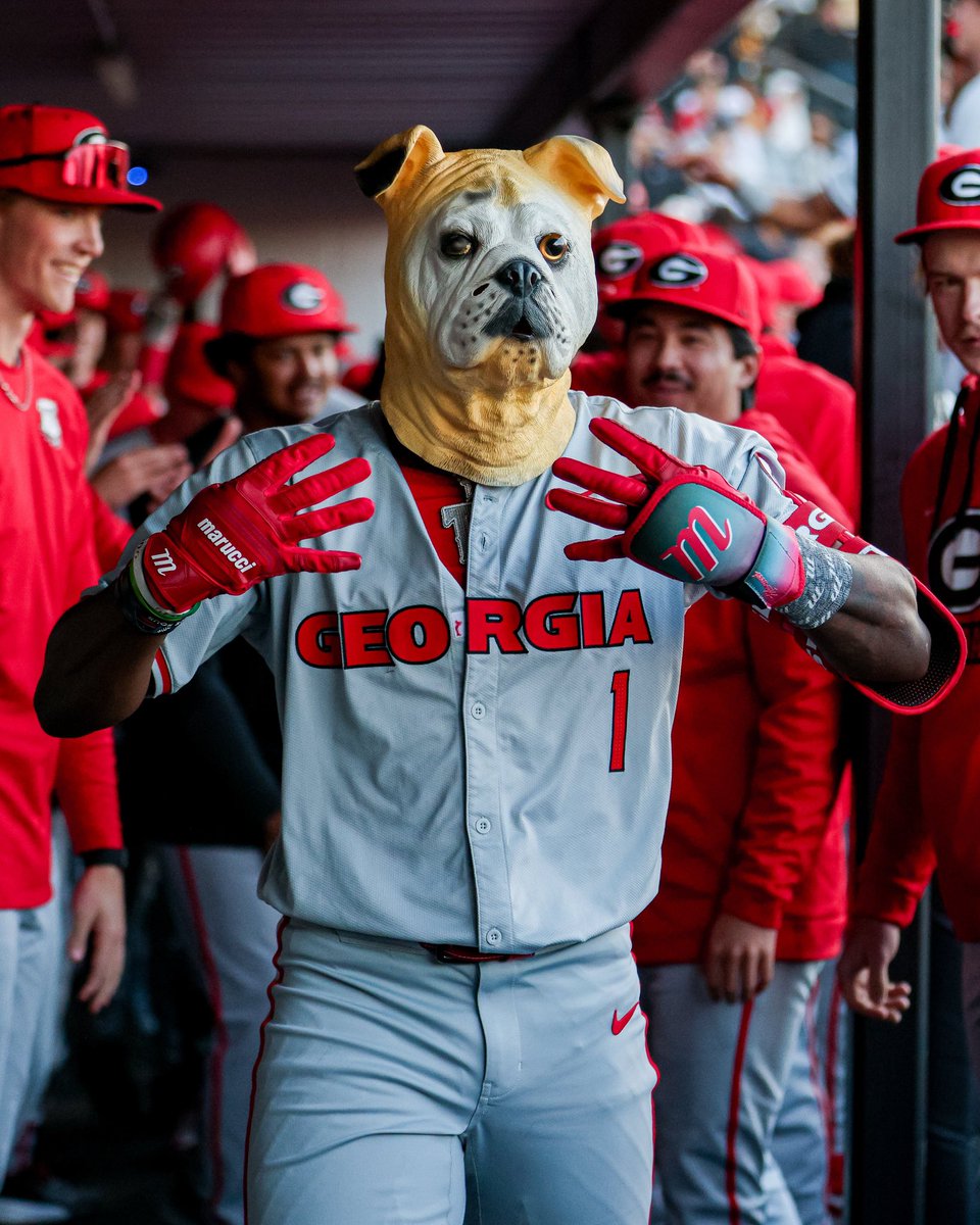 Diamond Dawgs tweet media