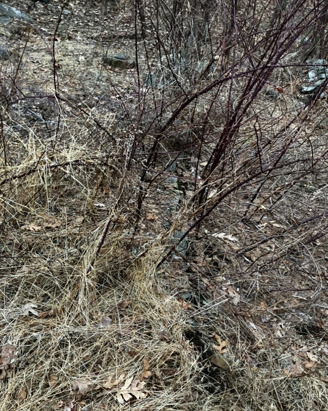 Kensetsu tweet media