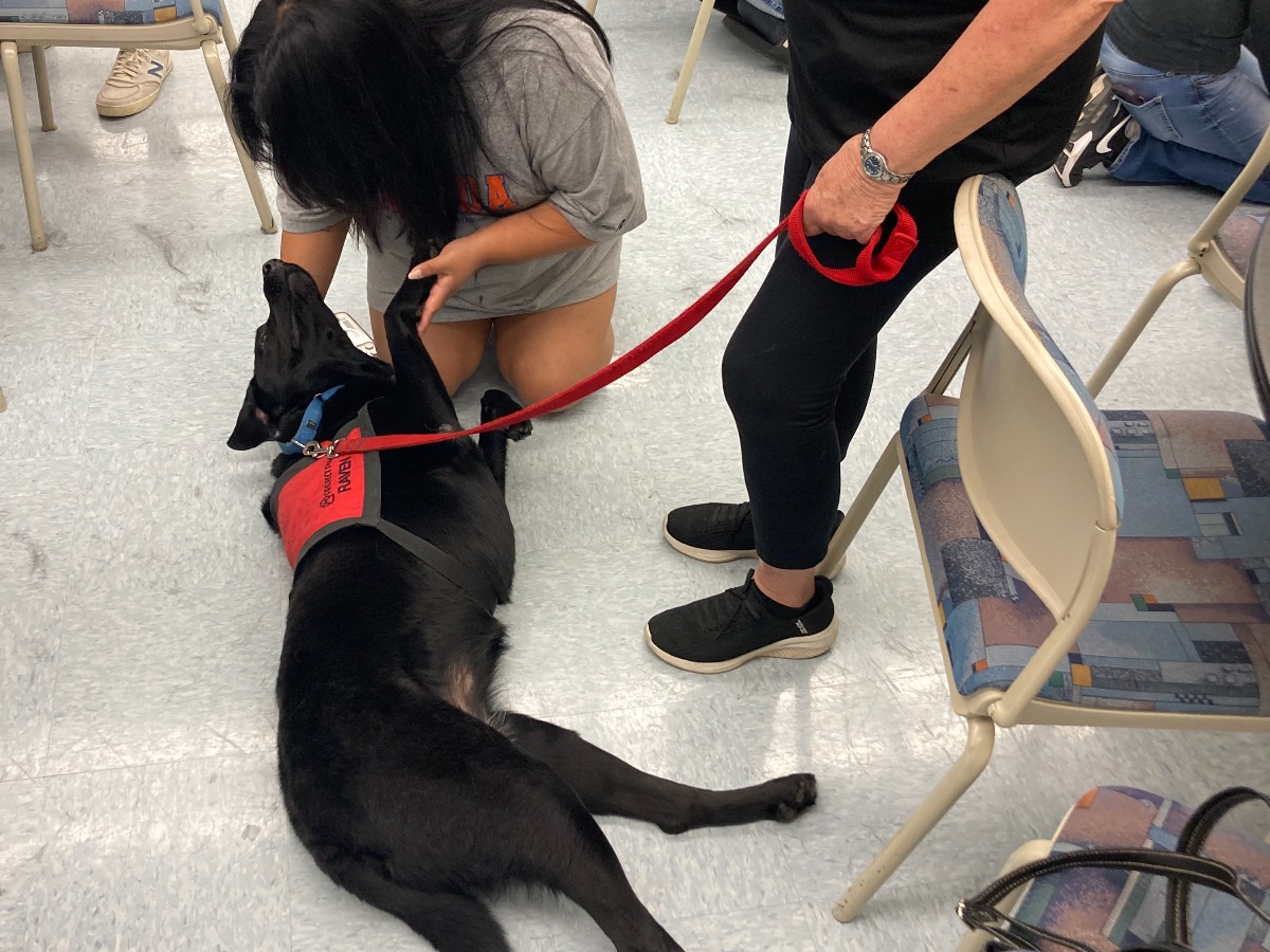 St. Petersburg College tweet media