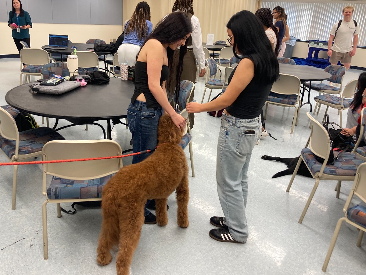 St. Petersburg College tweet media