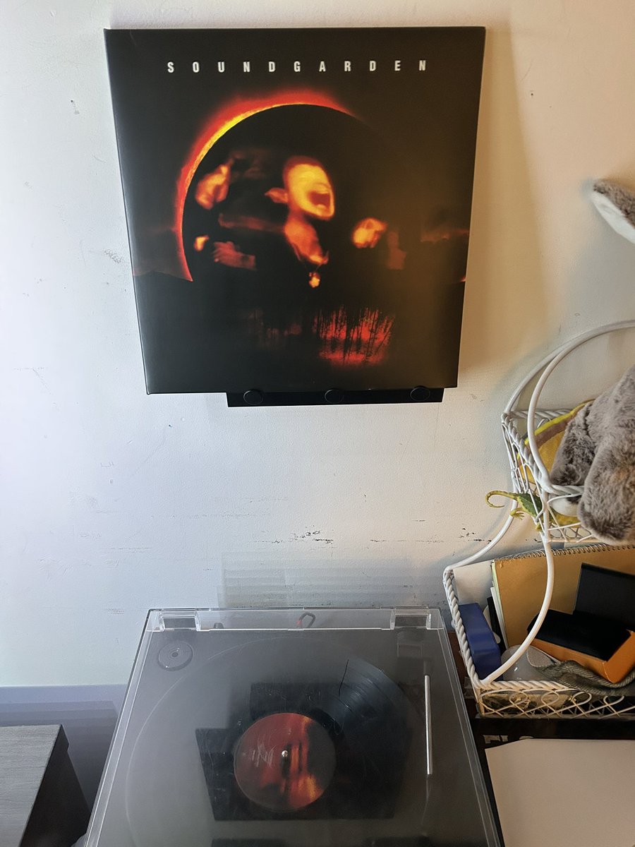 Kate 🐬 tweet media