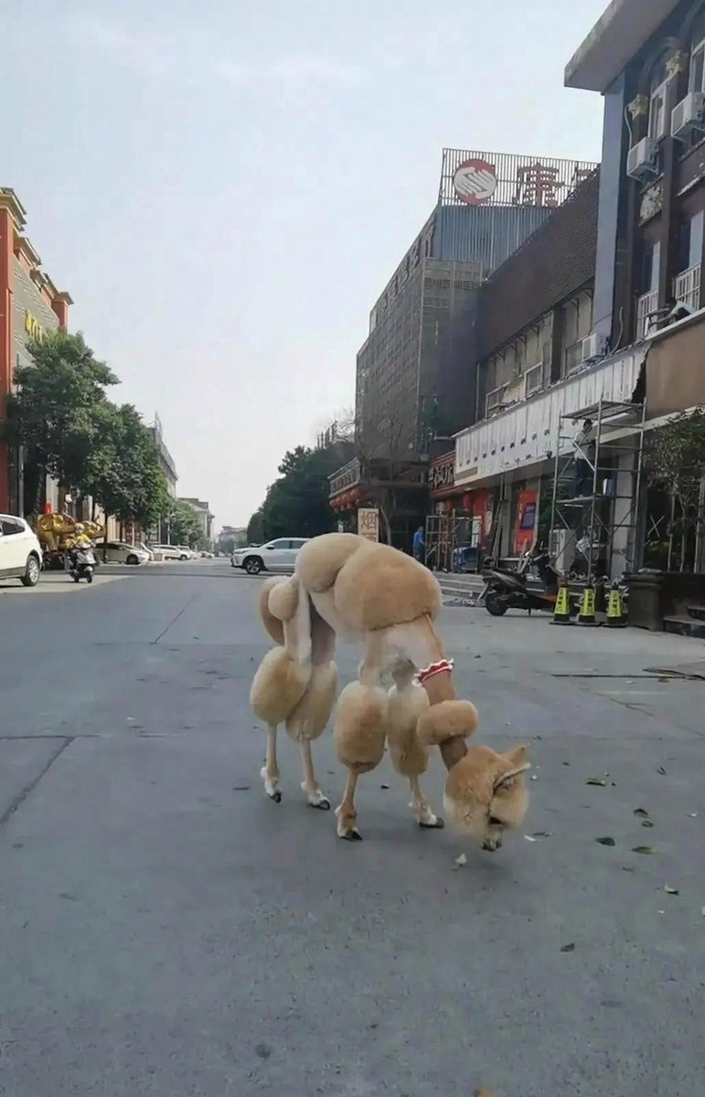 J.R. Wilkins tweet media