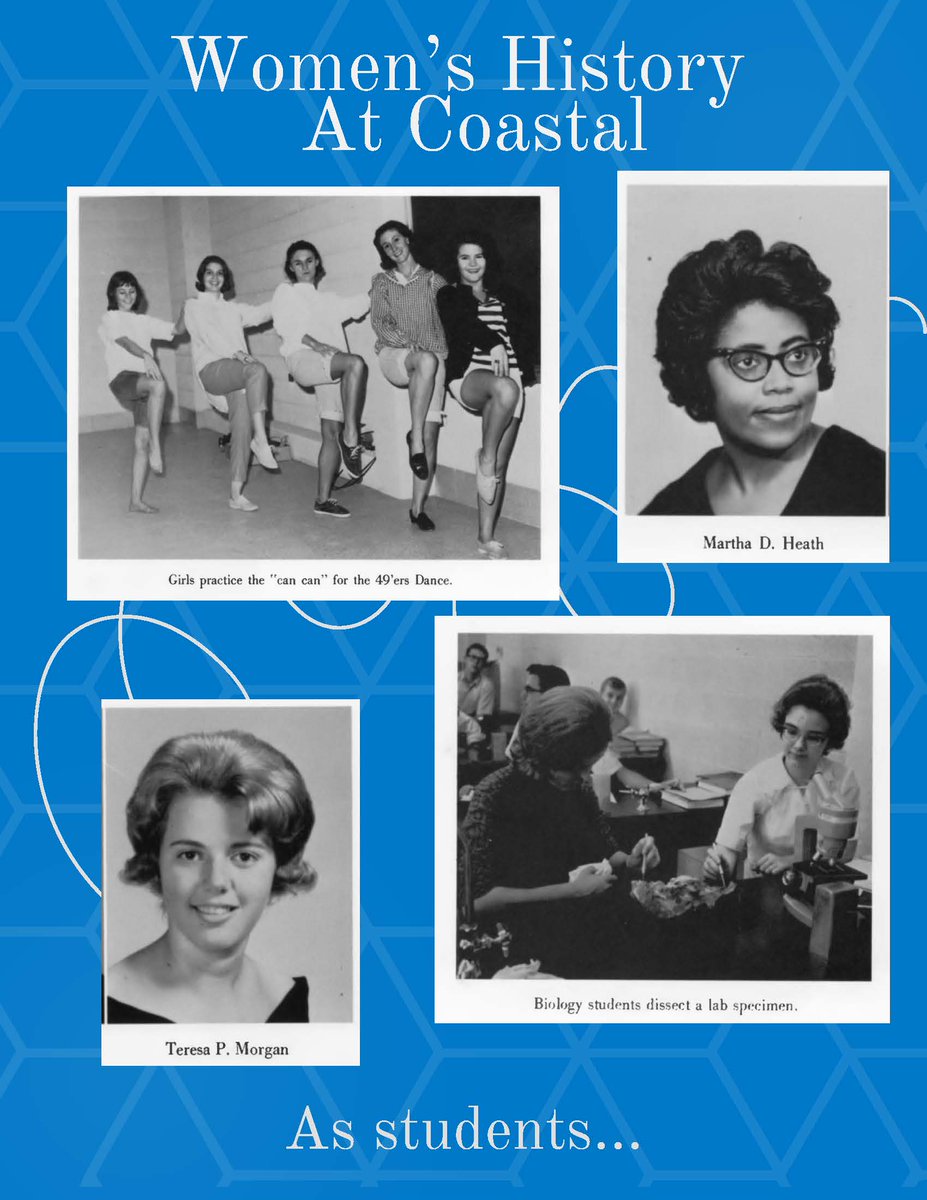 Coastal Georgia tweet media