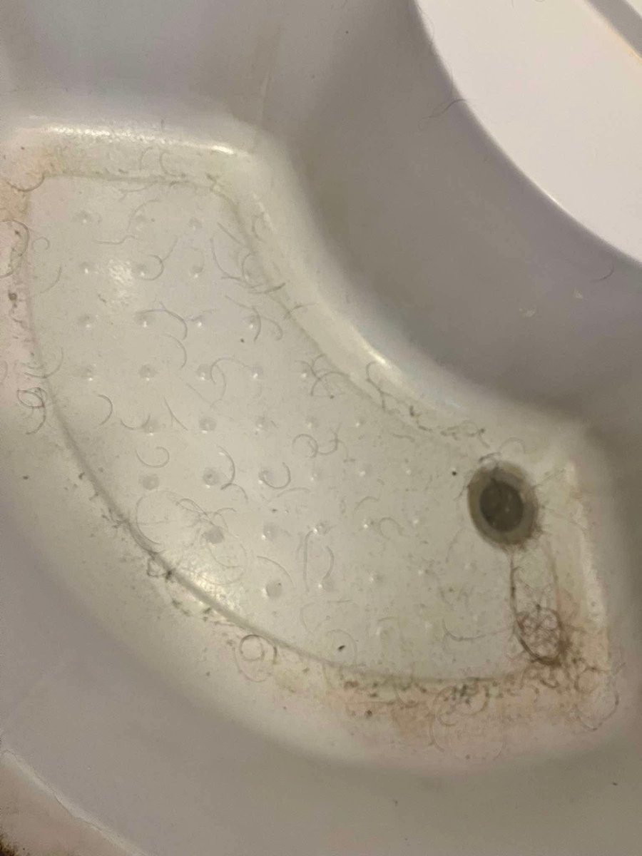 Josefino tweet media