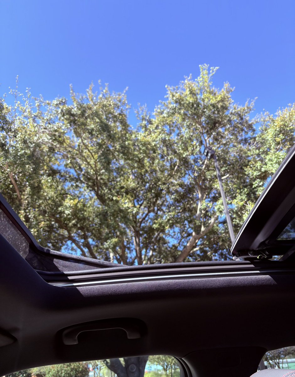 σg тєχαѕ συтℓαω  tweet media