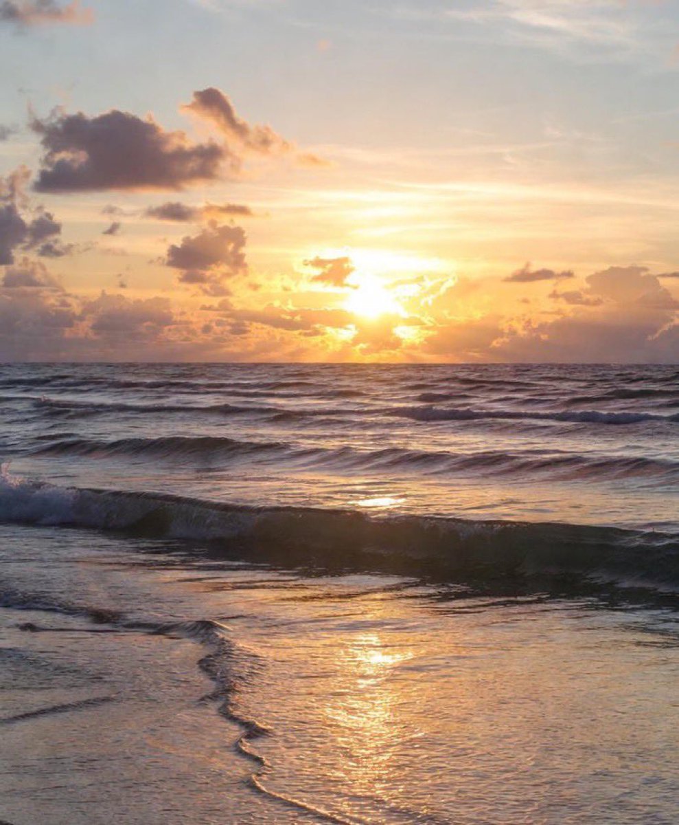 Lisa🌺 tweet media