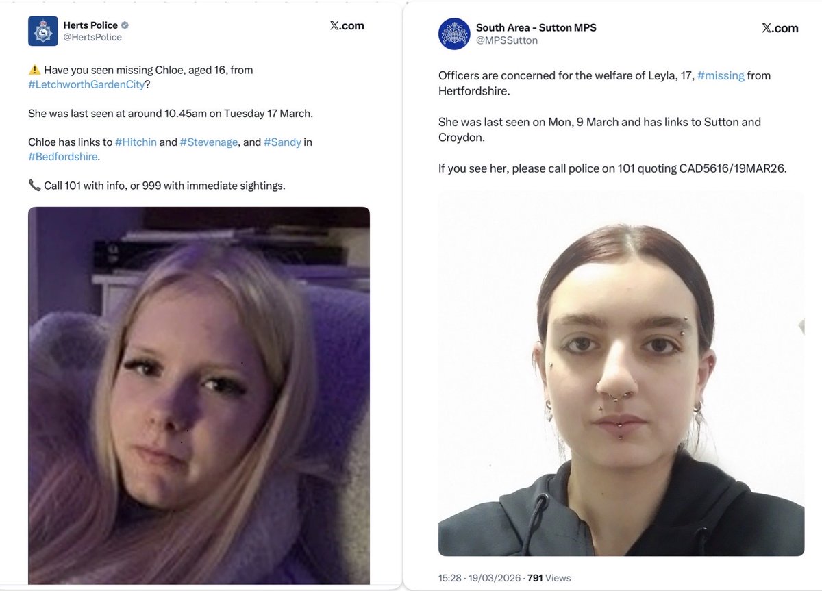 Love the UK - Bring back common sense tweet media