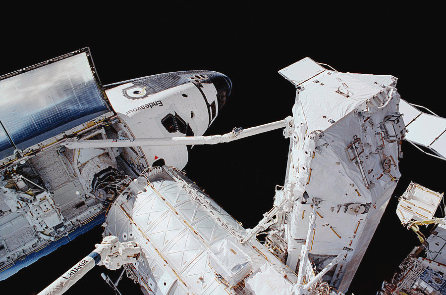 Mac Wolf tweet media