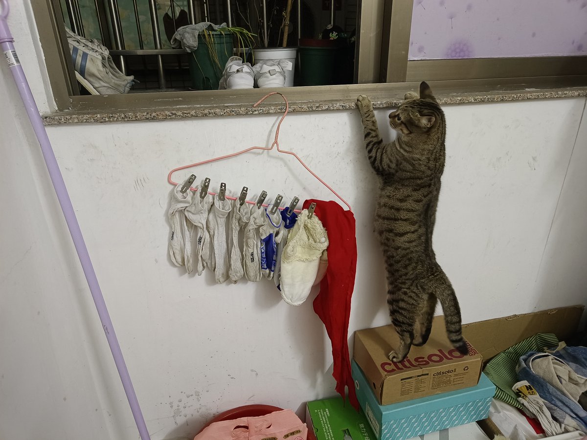 Patricia Klein tweet media