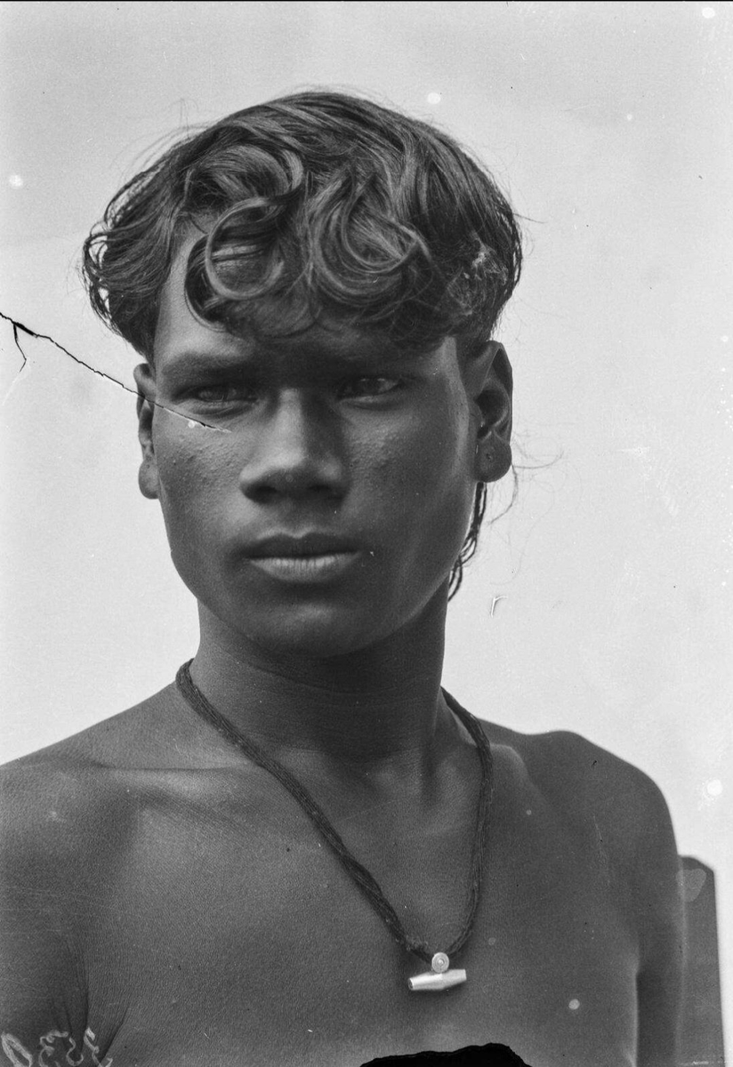 Dravidian Dasyu Trampler tweet media