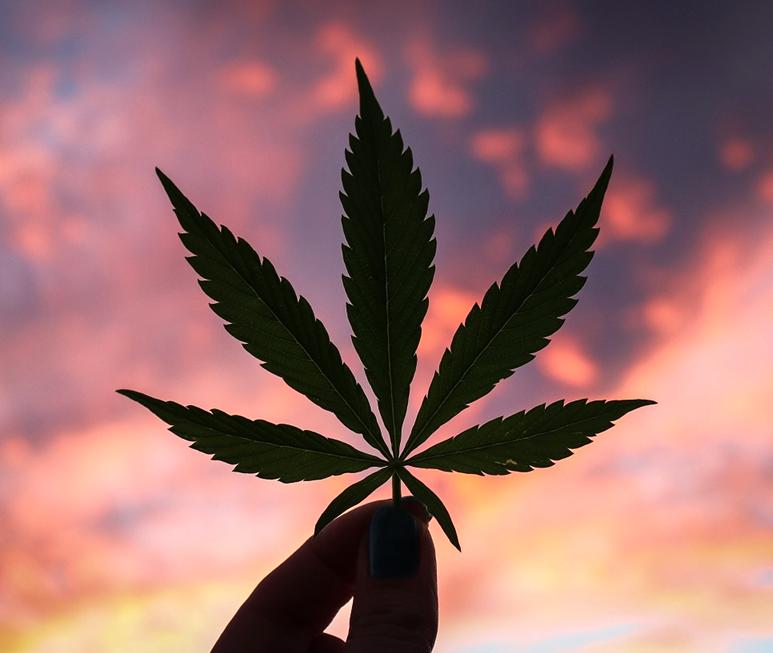 Shay Moore tweet media