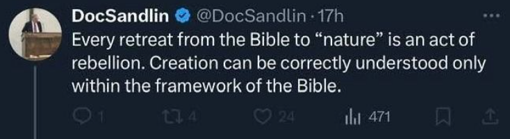 LRibeiro97 tweet media