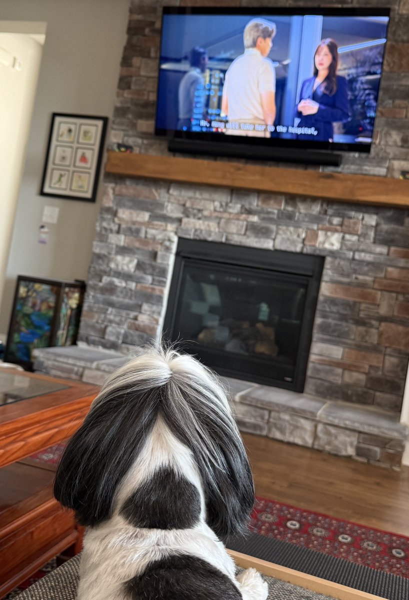 Sun Min Kimes tweet media