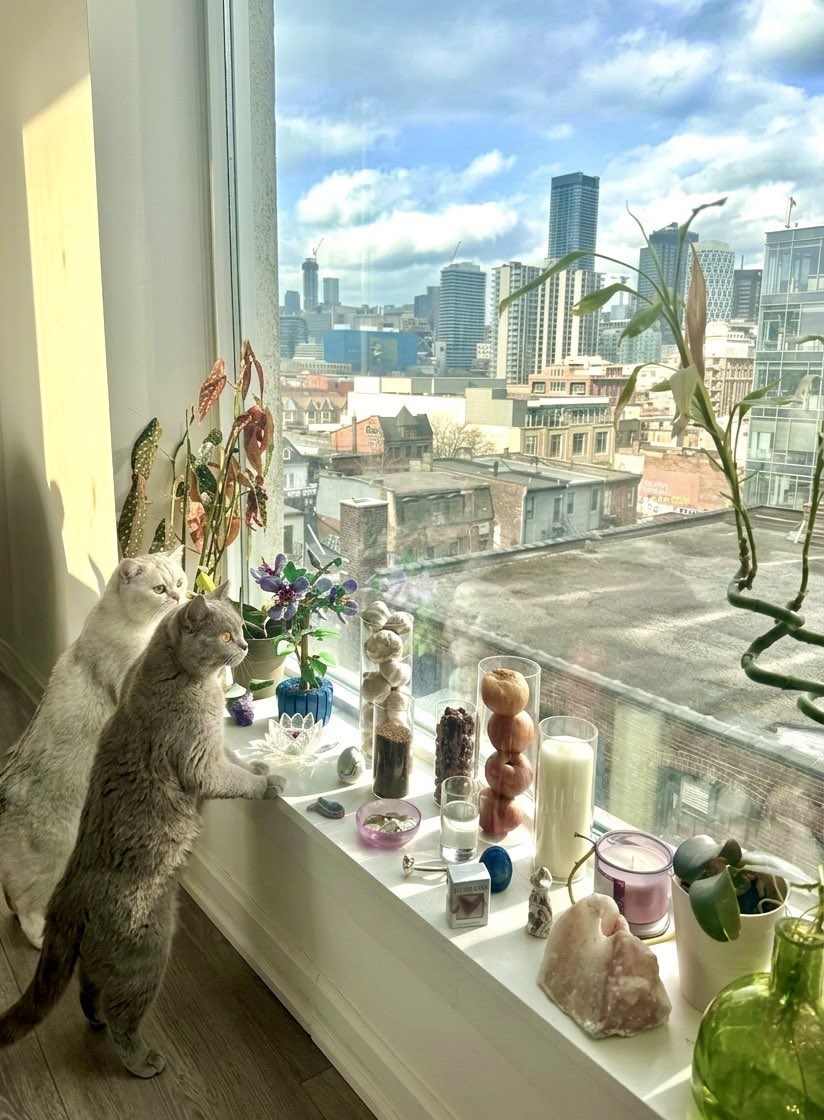 نیلوسی tweet media