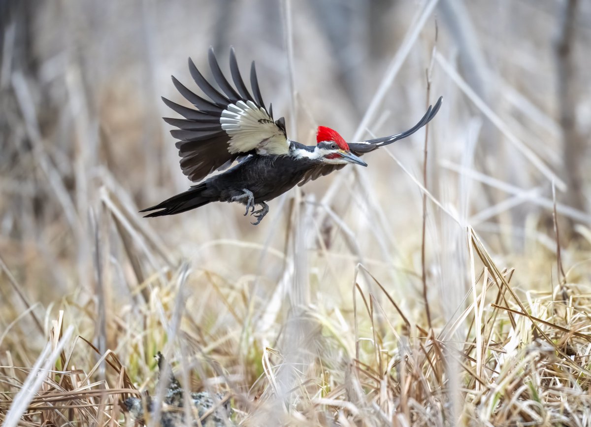 Jocelyn Anderson Photography tweet media