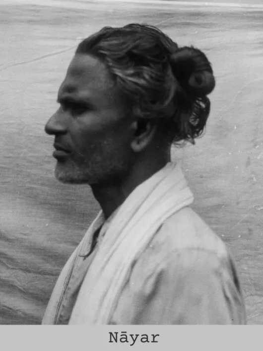 Dravidian Dasyu Trampler tweet media