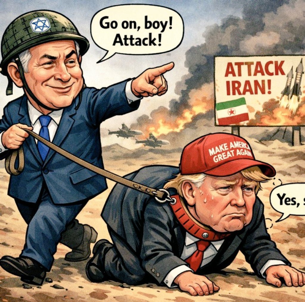 Max Ilham tweet media