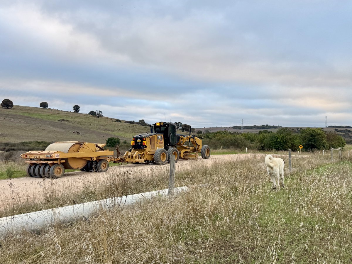 Calliss Clan (@callissclan.bsky.social) tweet media