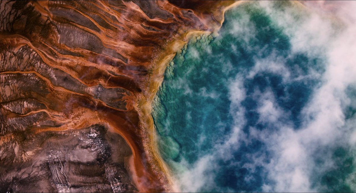 Shadow Knight tweet media