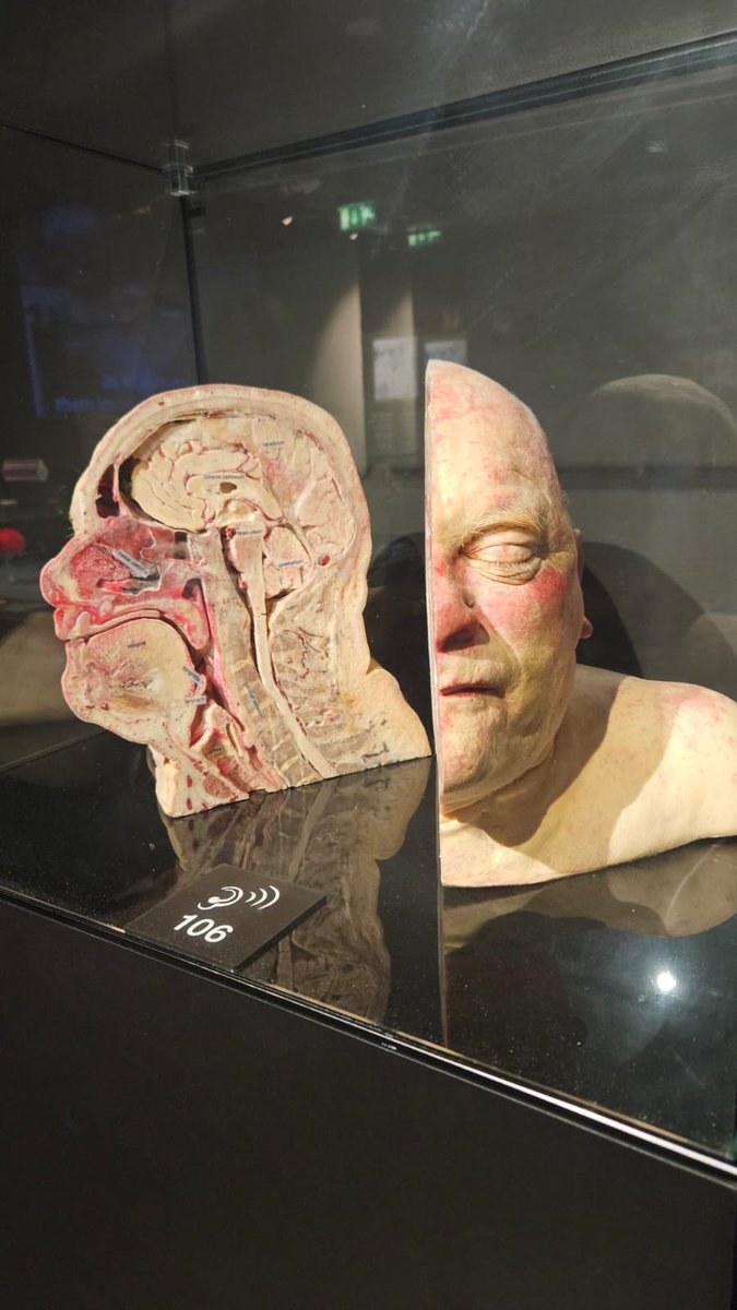 🇬🇧 Goddess Mean Mal 🏴󠁧󠁢󠁥󠁮󠁧󠁿 tweet media