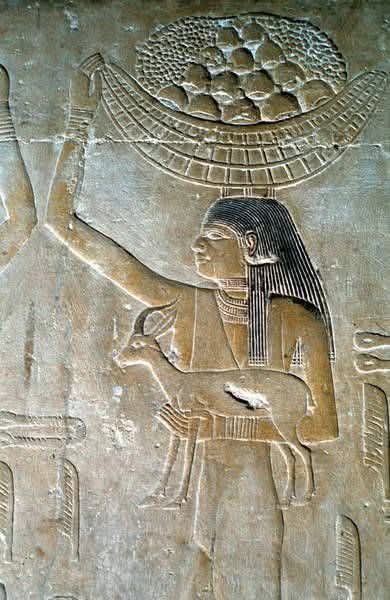 𓂀 Nefertiti : Nile Tales 𓅓 tweet media