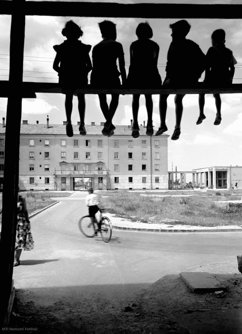 𝙈𝙖𝙟𝙖 𝙎𝙚𝙣𝙙𝙖  tweet media