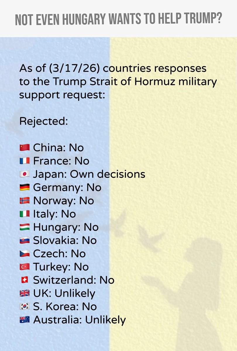 Mr Kodama 🇺🇦🇬🇧🏴󠁧󠁢󠁥󠁮󠁧󠁿🇺🇸 tweet media