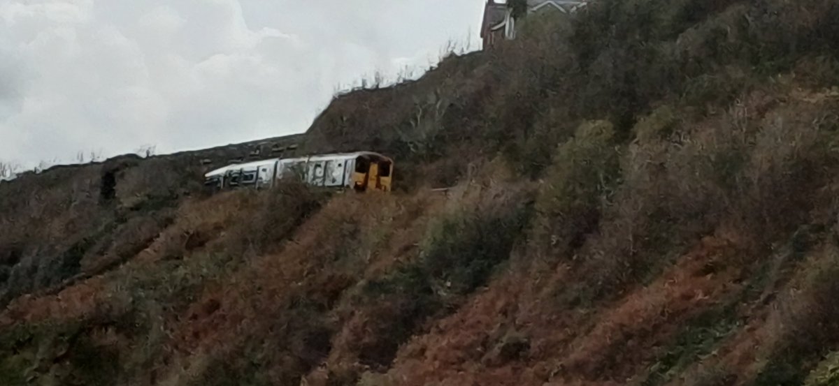 Tony Wilson tweet media