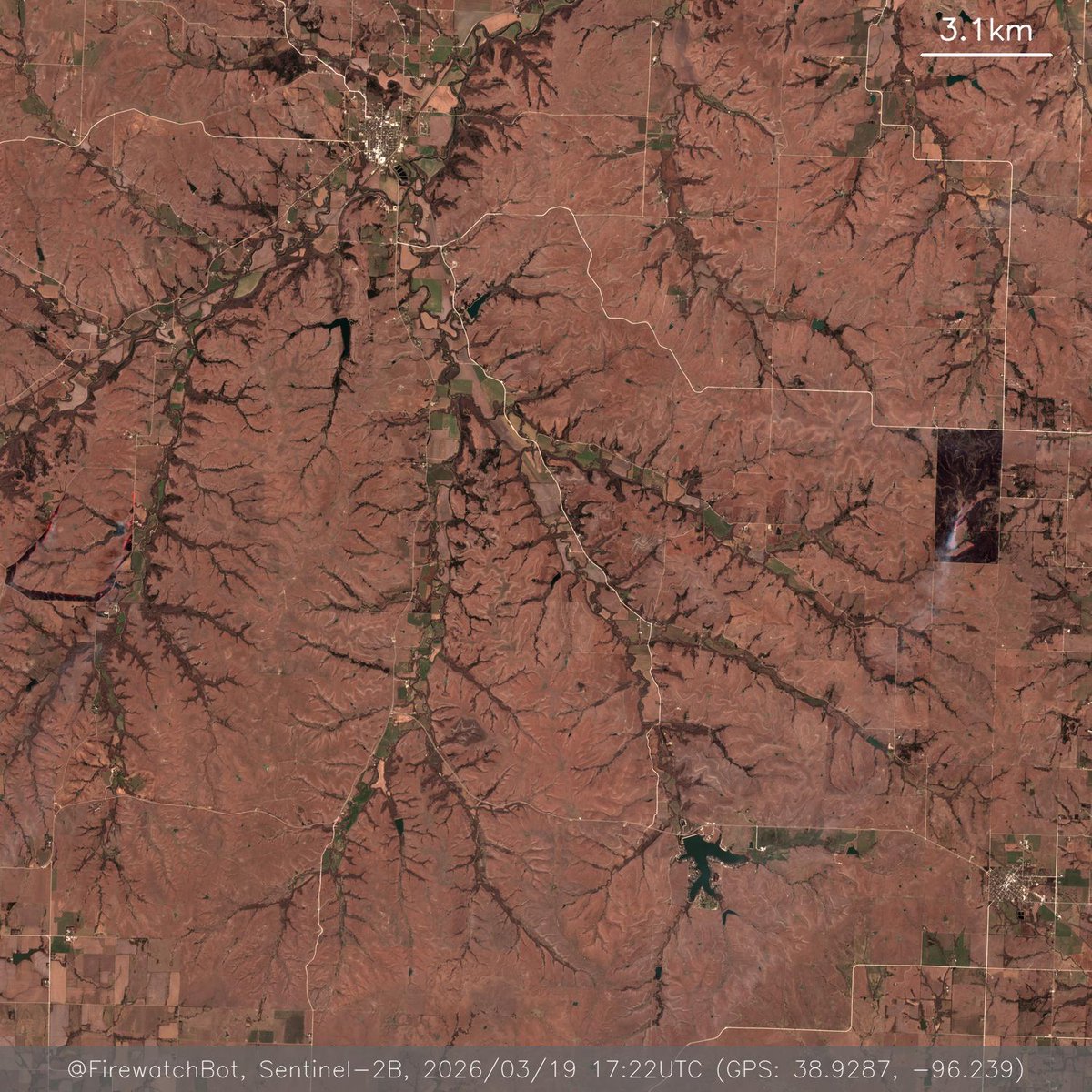 Firewatch Bot 🤖 tweet media