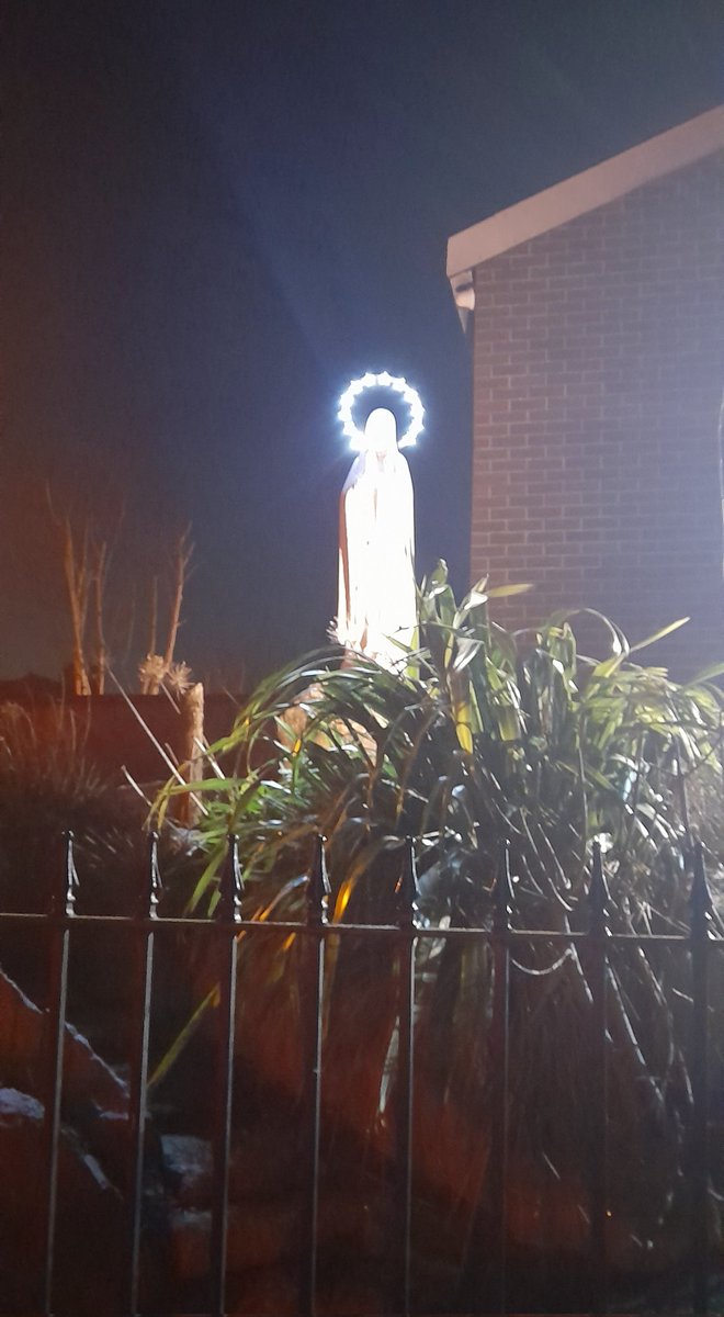 Elle 🇮🇪....💚🤍🧡 tweet media