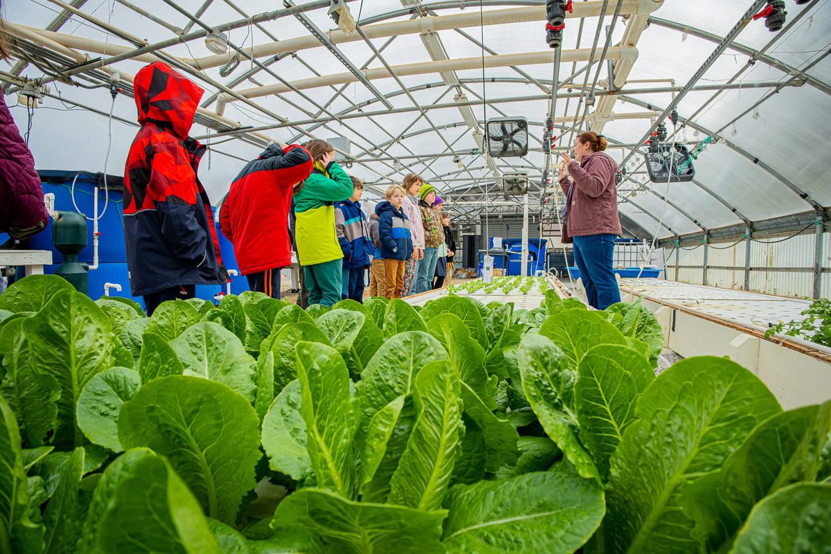 Kentucky State University tweet media