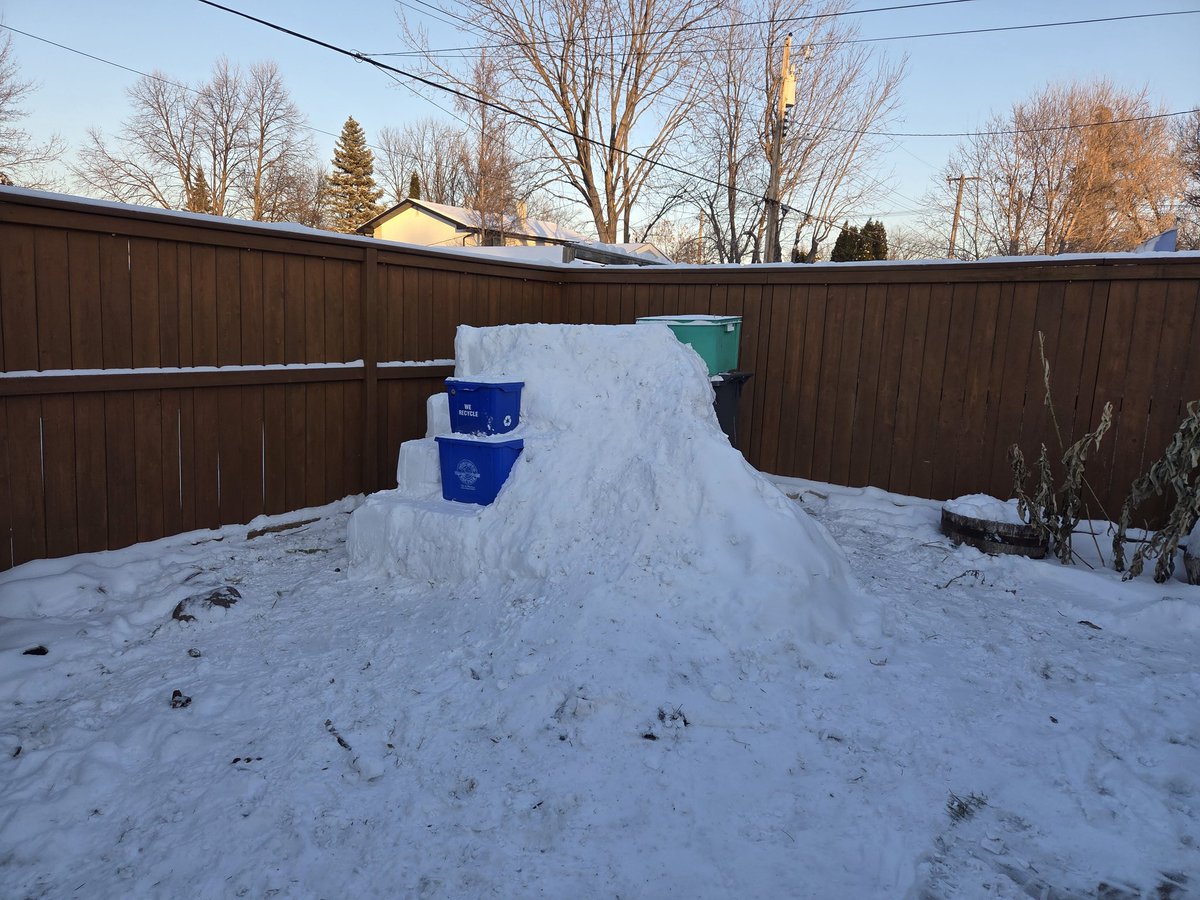 ThePrehistoricGardener(He/Them)🌿🦖🩷💛💙🤍🩶🖤💜 tweet media