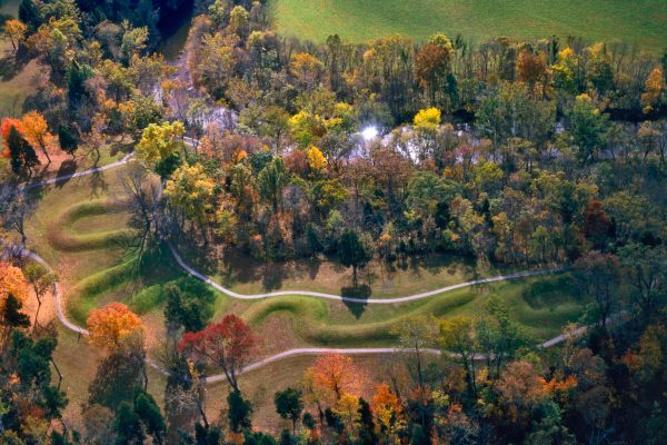 SubRosa )✿( Magick @subrosamagick.bsky.social tweet media