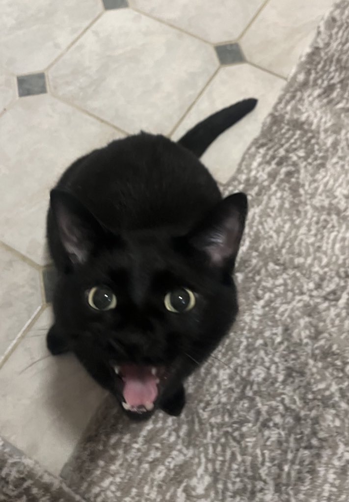 Sock’s father tweet media