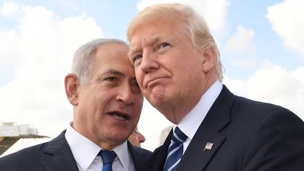 Pirate Possum tweet media