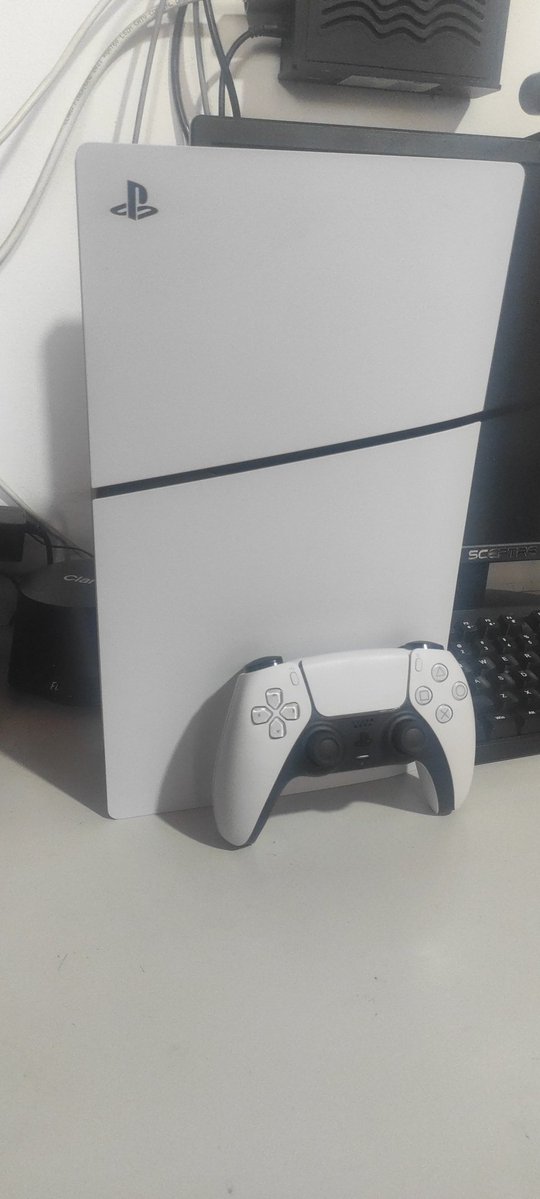 🐛MegalodonFoster 🐛 tweet media