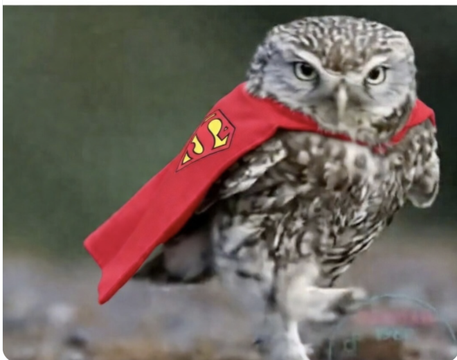 Texting for truth tweet media