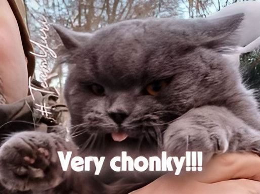 Olimana Gurimana 🇺🇦 #TeamYuri tweet media