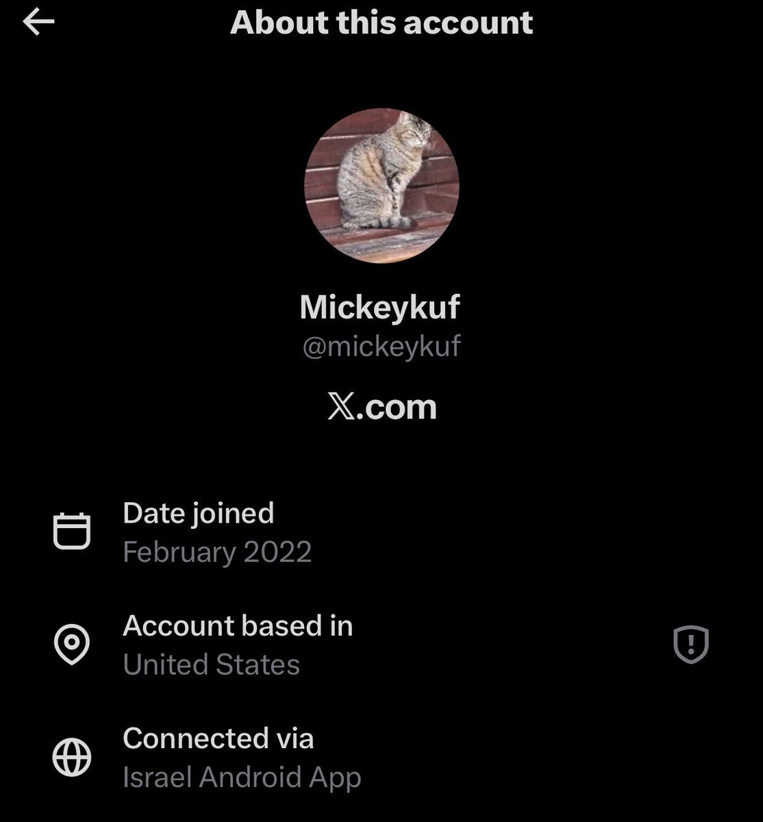 Real Dog 🇺🇸 tweet media