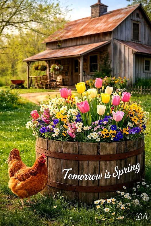 Montana Nancy tweet media