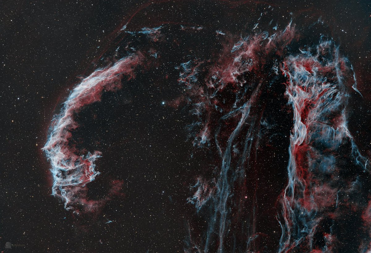 Xavi Bros tweet media