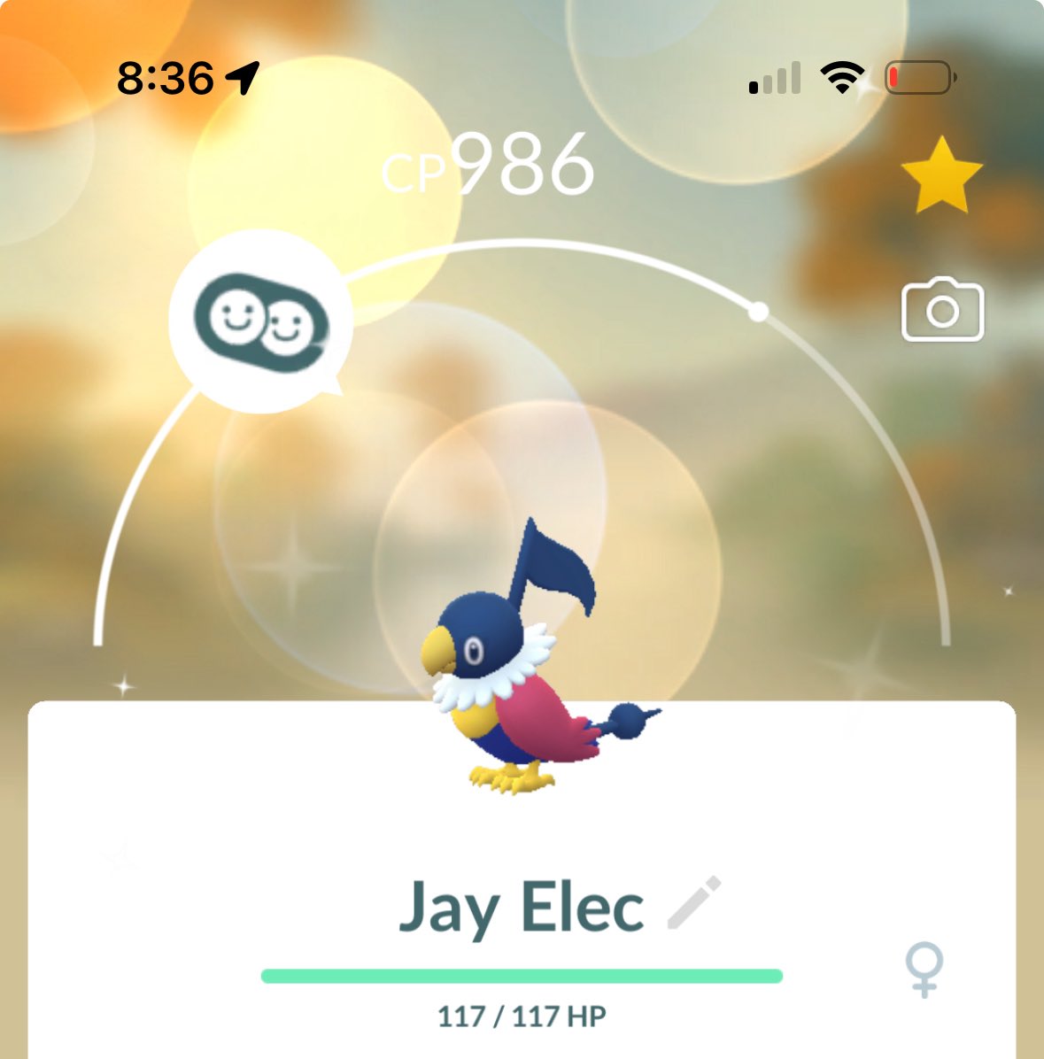 MattsMeteors tweet media