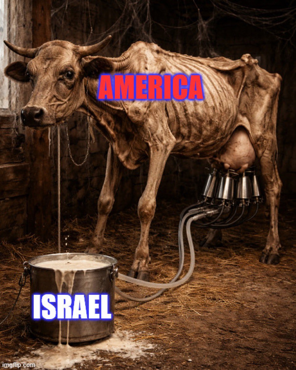 ShockBox tweet media