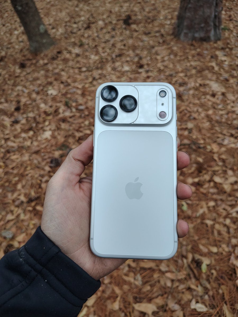 Mr.Robert 𝕏 tweet media